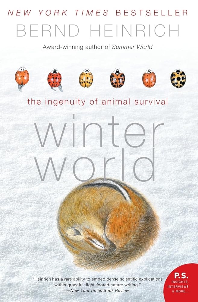 Winter World: The Ingenuity of Animal Survival cover image