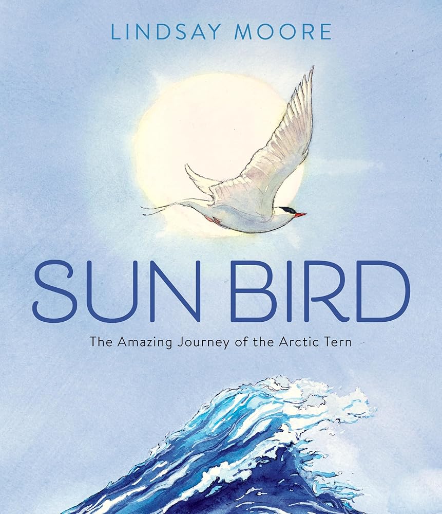 Sun Bird: The Amazing Journey of the Arctic Tern Told in Beautifully Rendered Watercolor Paintings Bring the Arctic Tern's Journey to Life cover image