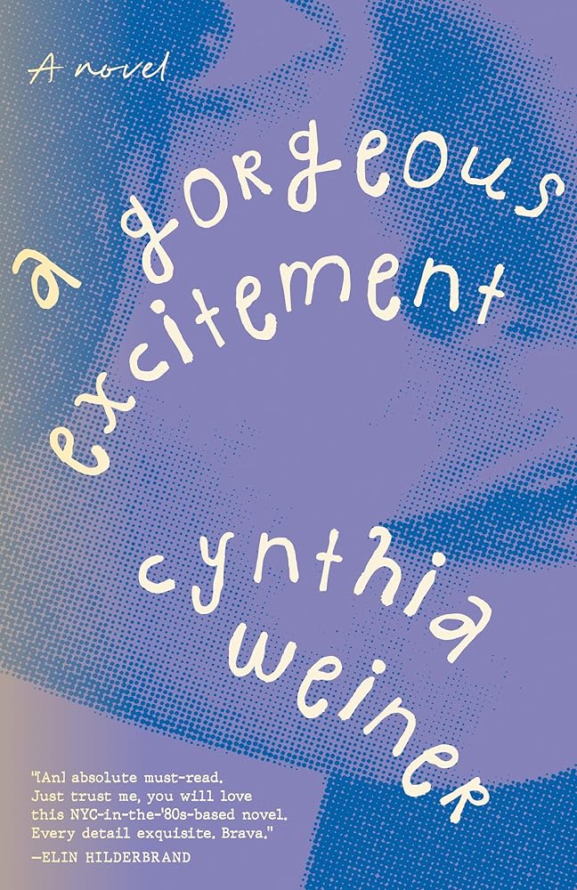 A Gorgeous Excitement: A Novel cover image
