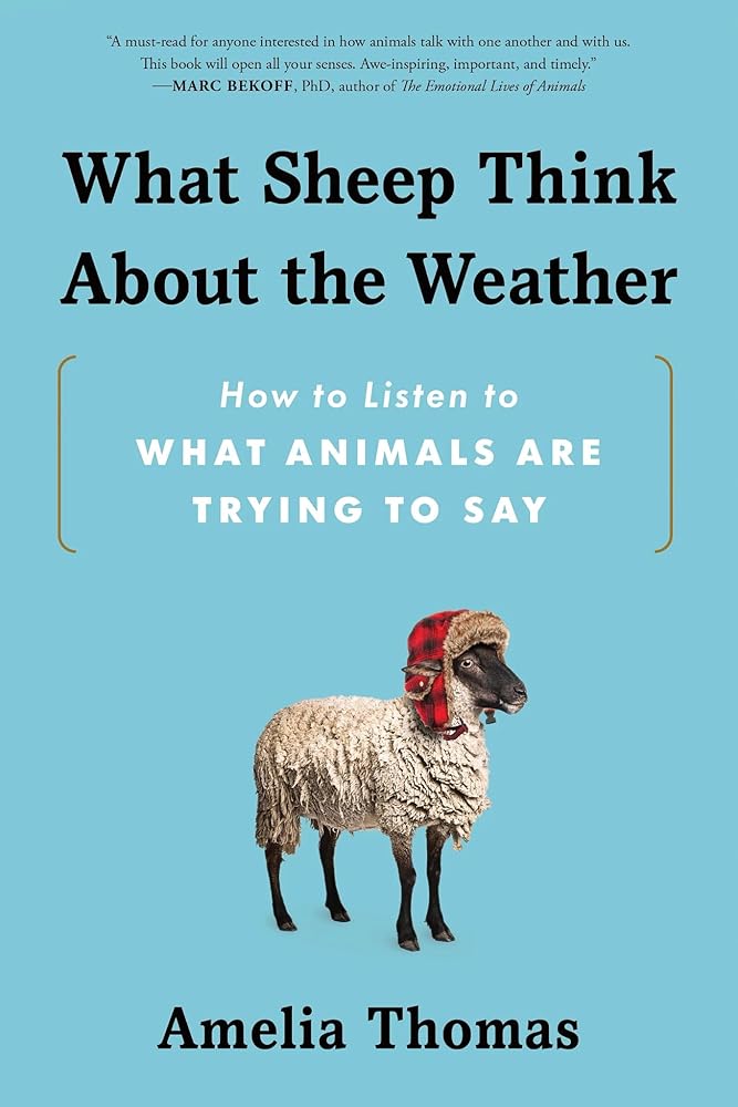 What Sheep Think About the Weather: How to Listen to What Animals Are Trying to Say cover image