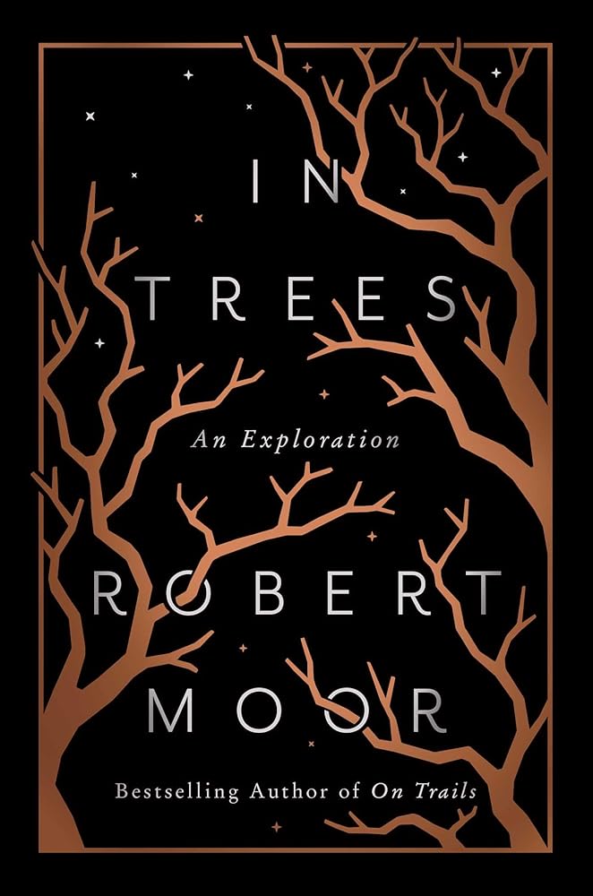 In Trees: An Exploration cover image