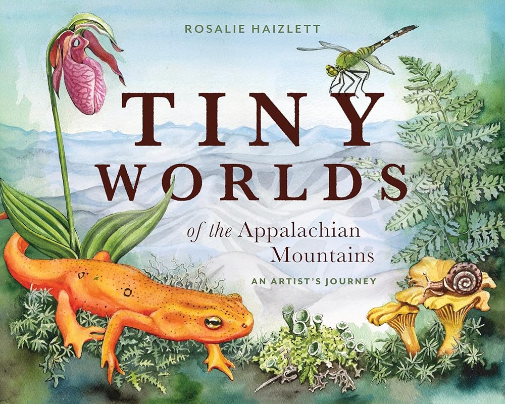 Tiny Worlds of the Appalachian Mountains: An Artist's Journey cover image