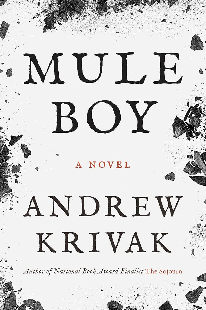 Mule Boy cover image
