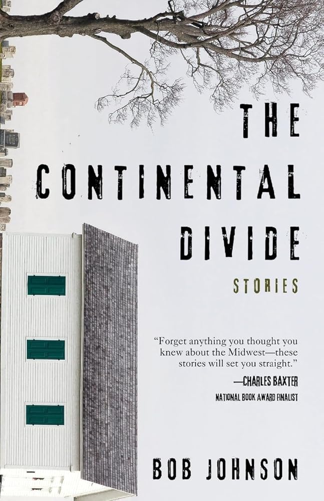 The Continental Divide: Stories cover image