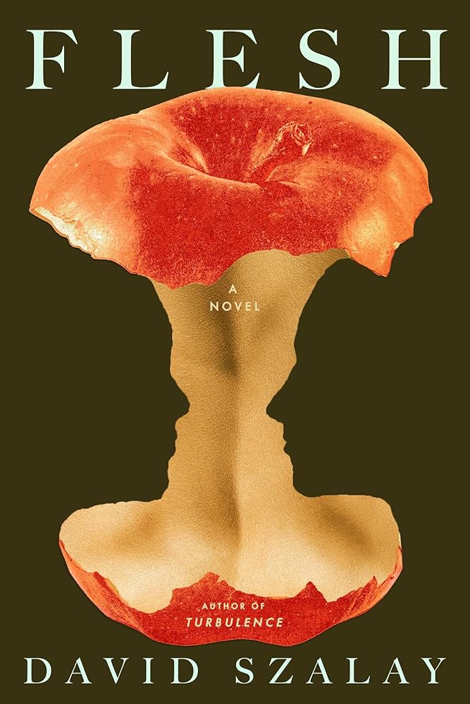 Flesh: A Novel cover image
