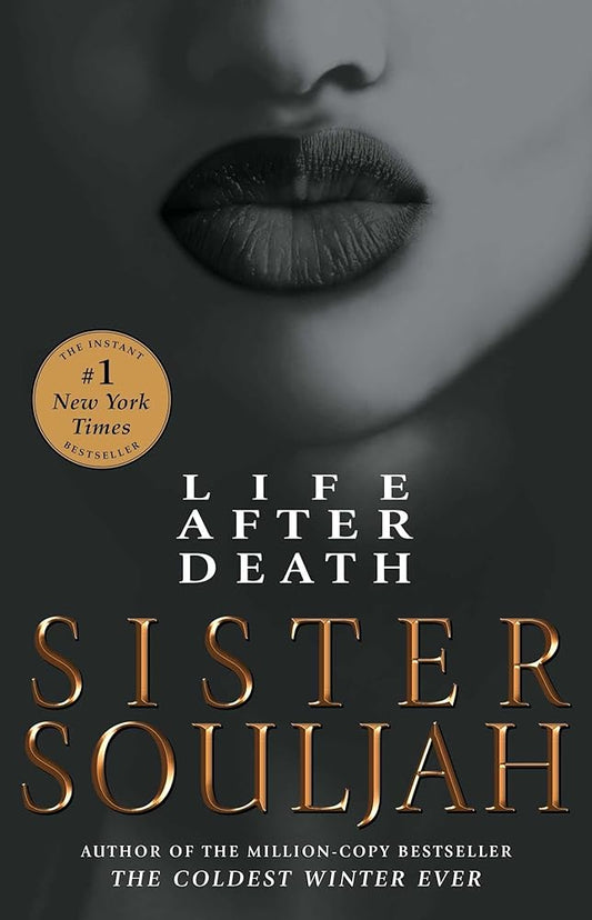 Life After Death: A Novel (2) (The Winter Santiaga Series) cover image