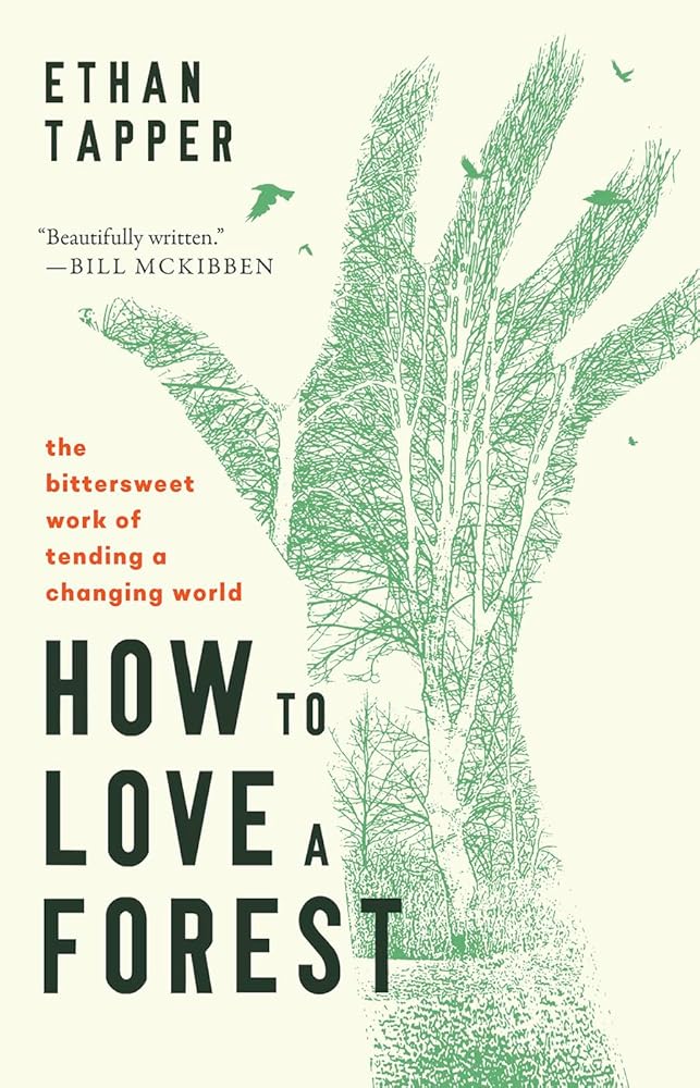 How to Love a Forest: The Bittersweet Work of Tending a Changing World cover image