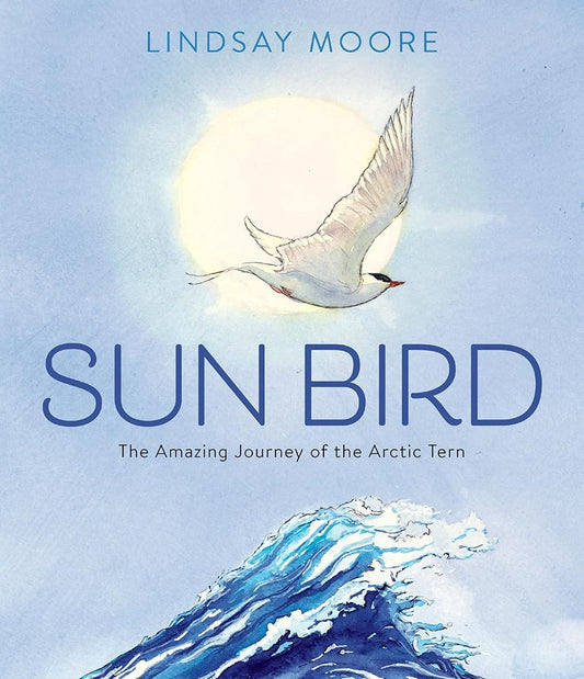 Sun Bird: The Amazing Journey of the Arctic Tern Told in Beautifully Rendered Watercolor Paintings Bring the Arctic Tern's Journey to Life cover image