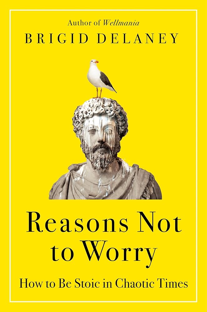 Reasons Not to Worry: How to Be Stoic in Chaotic Times cover image