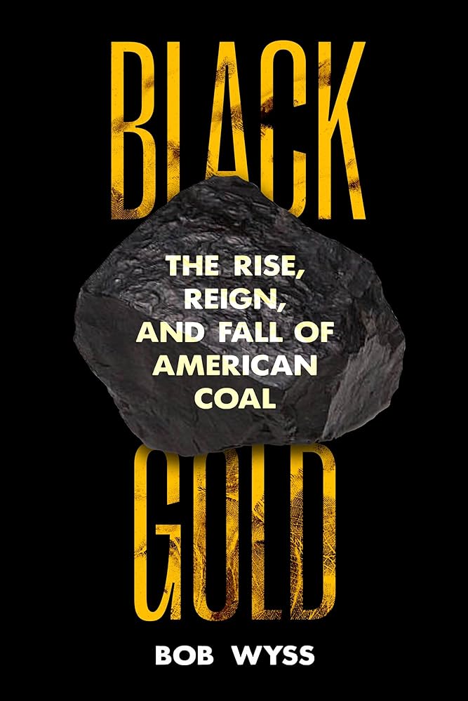 Black Gold: The Rise, Reign, and Fall of American Coal cover image