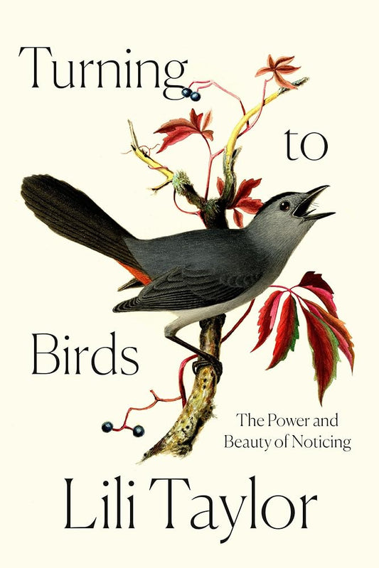 Turning to Birds: The Power and Beauty of Noticing cover image