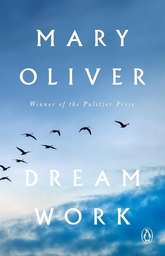 Dream Work cover image