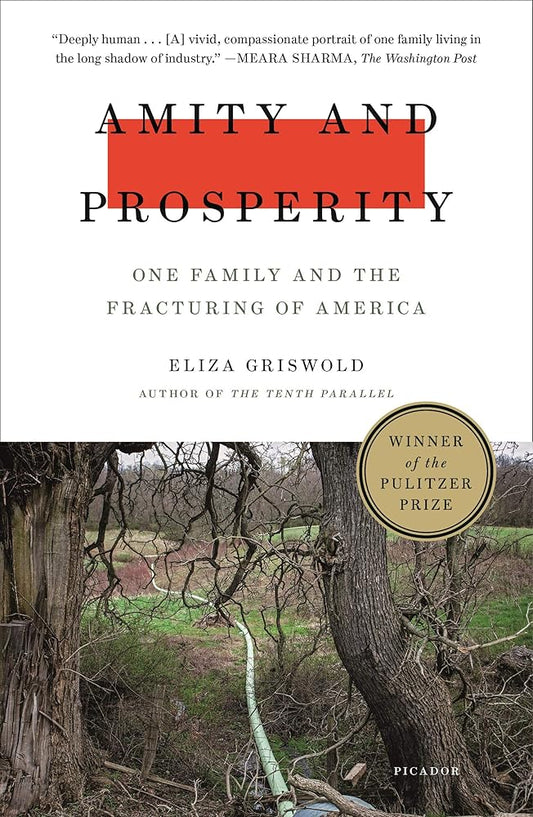 Amity and Prosperity: One Family and the Fracturing of America cover image