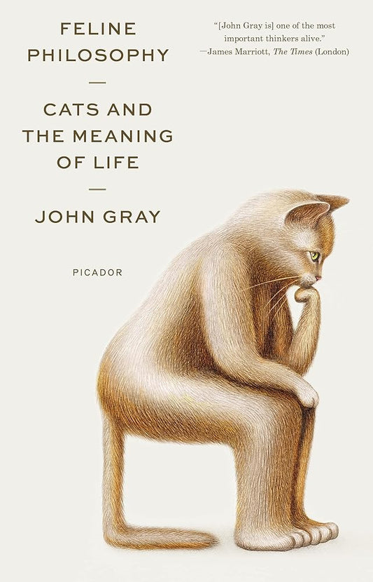 Feline Philosophy cover image