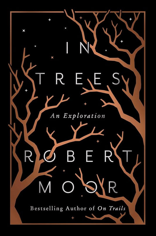 In Trees: An Exploration cover image