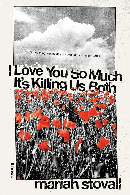I Love You So Much It's Killing Us Both: A Novel cover image