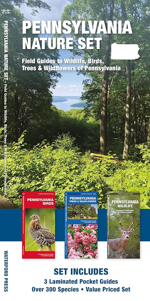 Pennsylvania Nature Set: Field Guides to Wildlife, Birds, Trees & Wildflowers of Pennsylvania (Nature Observation North America) cover image