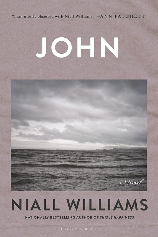 John: A Novel cover image
