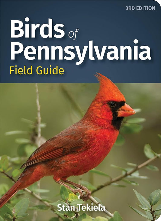 Birds of Pennsylvania Field Guide (Bird Identification Guides) cover image