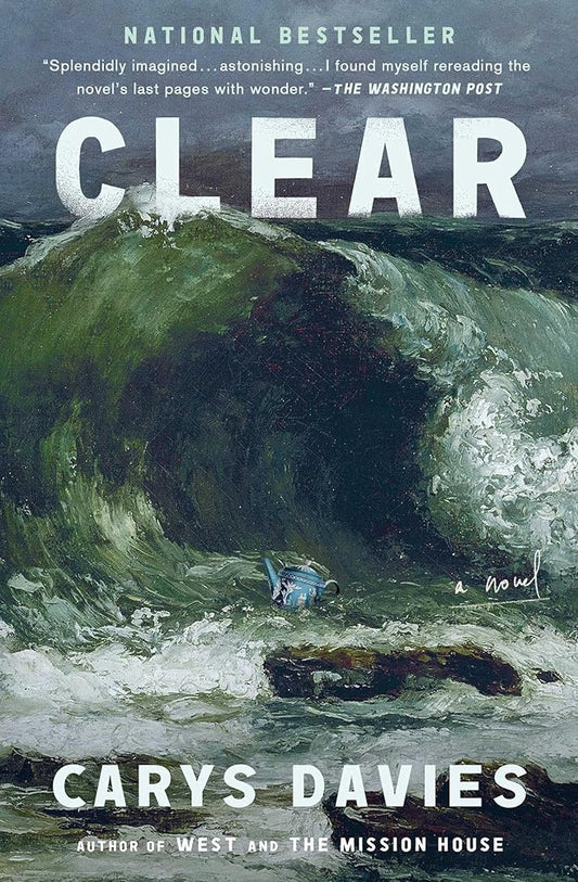 Clear: A Novel cover image