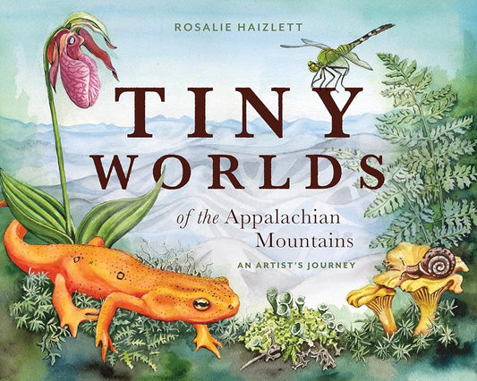 Tiny Worlds of the Appalachian Mountains: An Artist's Journey cover image