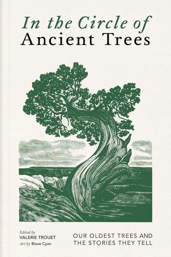 In the Circle of Ancient Trees: Our Oldest Trees and the Stories They Tell cover image