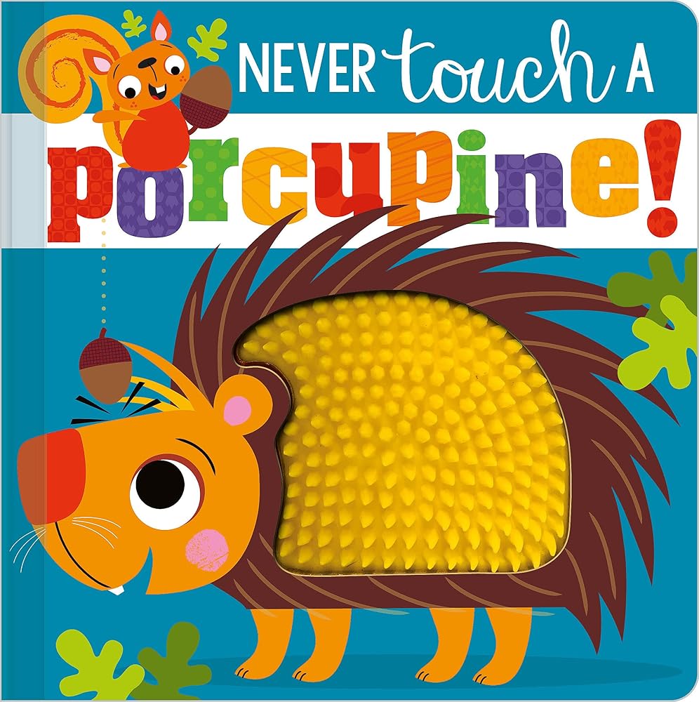Never Touch a Porcupine! cover image