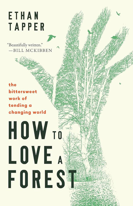 How to Love a Forest: The Bittersweet Work of Tending a Changing World cover image