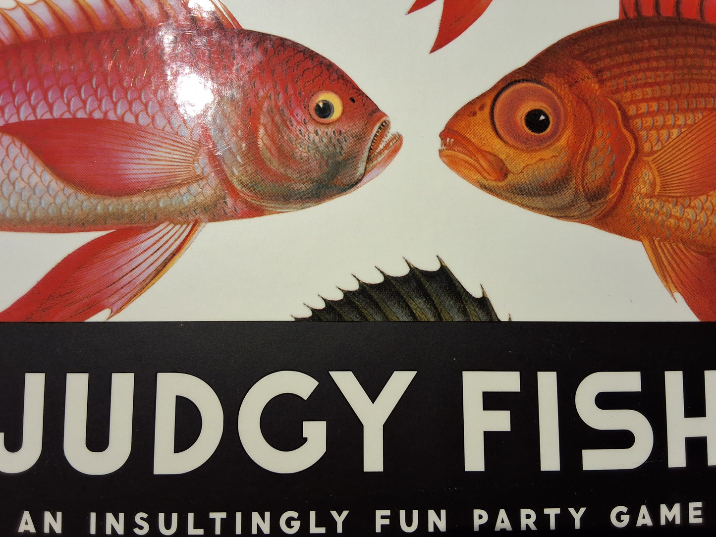 Judgy Fish: an Insultingly Fun Party Game